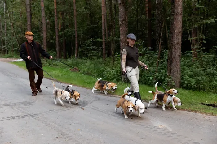 Сезон охоты